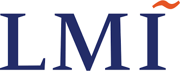 LMI Consulting, LLC jobs